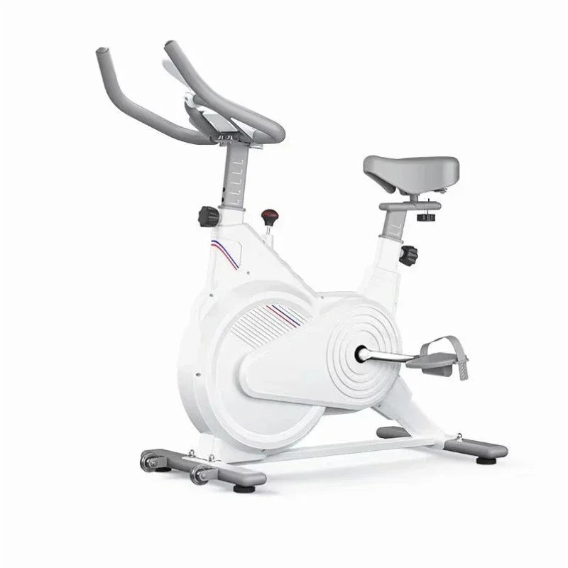 Black and White Exercise Bikes for Weight Loss, Quiet Magnetic Resistance Home Gym Exercise Bikes