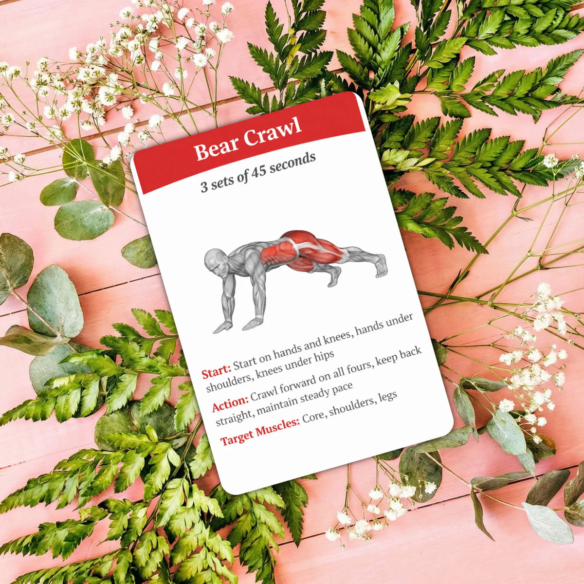 36Pcs Full Body Fat Burning Workout Guide Cards Muscle Diagram Home Fitness Training Instruction Cards For Gym Beginner Exercise