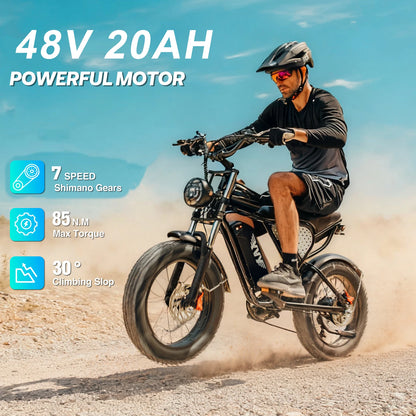 US Free Shipping Yvy Ridstar Q20 E Bike 48V 20Ah 20 Inch E-Bike Fat Tire Electric Mountain Dirt Bike Electric Bicycle for Adults
