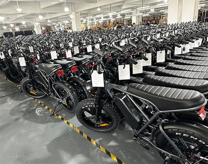 E-bike Fat Tyre Electric Bicycle 20inch 750w Electric Bike E Bike High Speed Mountain Ebike H9 Fatbike With Front Shelf