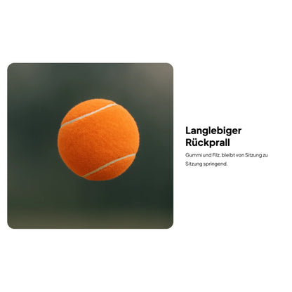 Tennis Training Balls 6 Pack High Quality Professional Practice for Tennis Equipment and Beginners