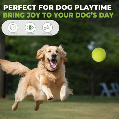 INSUM 20 Pack Tennis Balls - Training Practice Balls for Beginners - Pet Dog Toy Balls