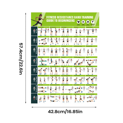 Workout Posters with Resistance Bands Guide Planner for Home Gym Muscle Building Stretching Yoga Exercise Training Wall Chart