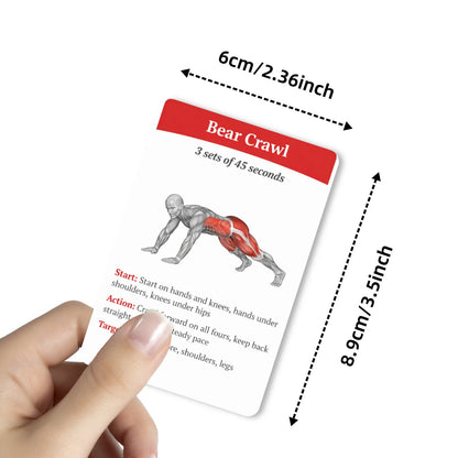 36Pcs Full Body Fat Burning Workout Guide Cards Muscle Diagram Home Fitness Training Instruction Cards For Gym Beginner Exercise