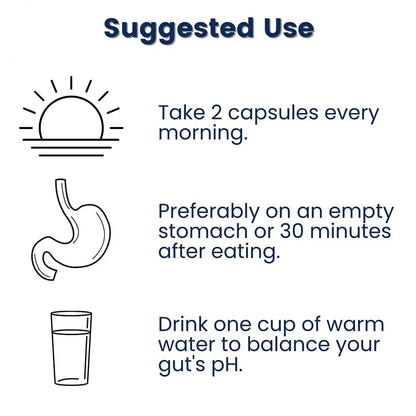 Probiotic Supplement - Gut Health, Supports Weight Management, Immune Health, Improves Digestion, Improves Mood, Relaxation