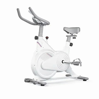 Black and White Exercise Bikes for Weight Loss, Quiet Magnetic Resistance Home Gym Exercise Bikes