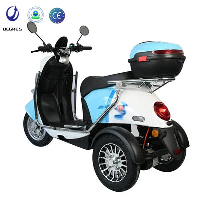 Electric Mobility Tricycle for Disabled Handicapped,3 Wheel Passenger Electric Scooter for Seniors, Heavy Duty Trike with Trunk