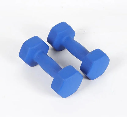 Hexagon Fixed Weight Dumbbells Set Womens 2kg Solid Cast Iron Workout Dumbbells