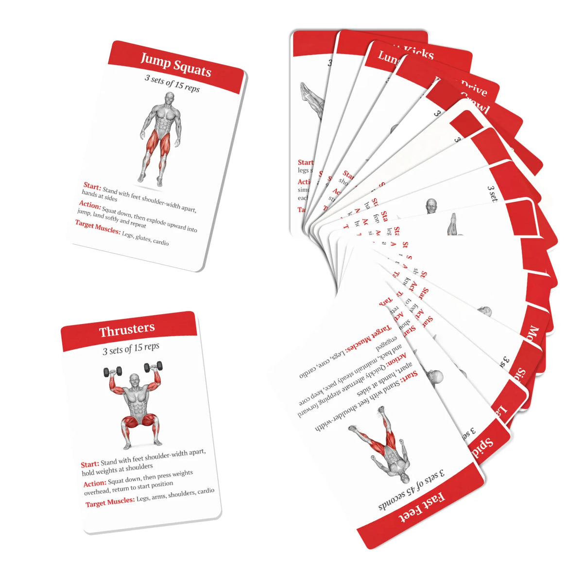 36Pcs Full Body Fat Burning Workout Guide Cards Muscle Diagram Home Fitness Training Instruction Cards For Gym Beginner Exercise